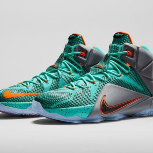 Nike Lebron 12 For Boys First Copy Shoes